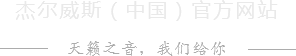 萨克斯价格