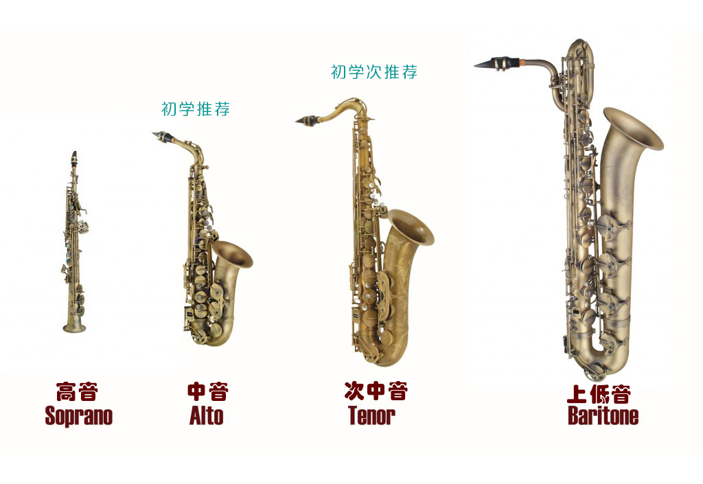 初学萨克斯买什么调