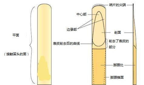 萨克斯哨片简介