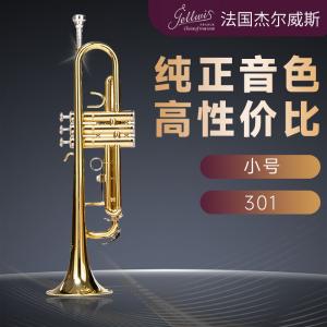 法国杰尔威斯 301 小号